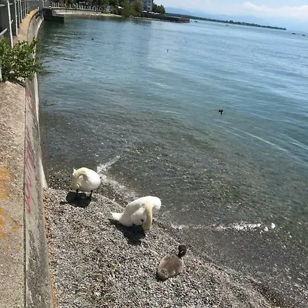 Am Zeppelin Hangar Daire Friedrichshafen