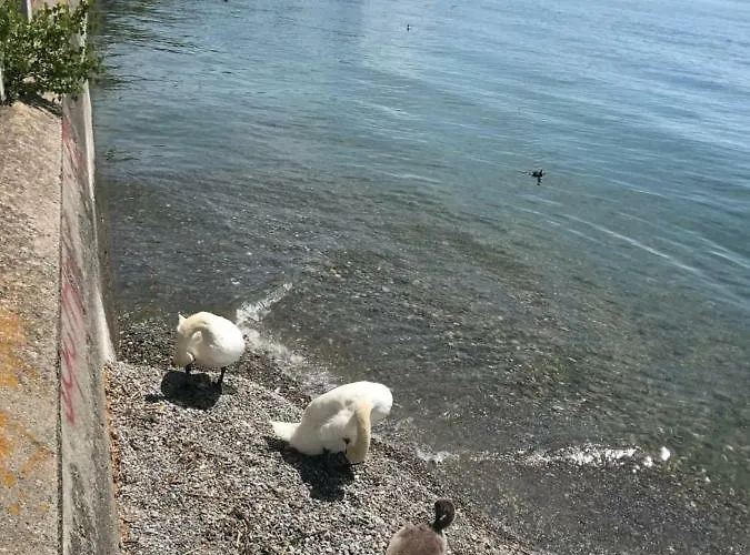 Am Zeppelin Hangar Lejlighed Friedrichshafen